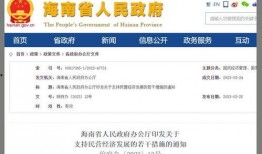 海南省政府爆料案件最新,重大案件细节曝光，真相大白！