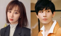 杨紫最新爆料消息,揭秘娱乐圈幕后真相