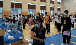 重庆小学爆料事件最新消息,真相揭开，家长震惊不已