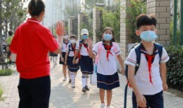 开封小学生最新爆料,校园生活新鲜事大揭秘