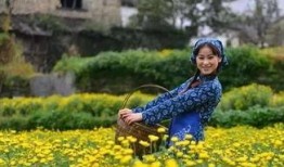 江西婺源热点爆料案件最新