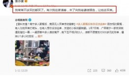 宠妻人设爆料最新小说,霸道总裁的甜蜜逆袭