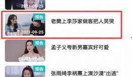 隔壁老樊最新爆料,揭秘音乐背后的故事与心路历程