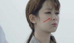 杨紫最新爆料长相思,长相思中的美丽与智慧