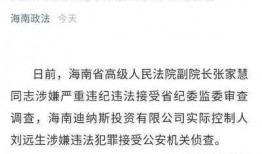 海南省政府爆料案件最新,重大案件细节曝光，真相大白！