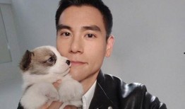 彭于晏爆料最新消息,揭秘演艺圈幕后真相！