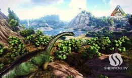 国服方舟爆料最新消息,神秘新内容即将揭晓，玩家期待值飙升！