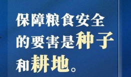 实事热闻爆料网最新消息,最新独家爆料，揭秘重大事件背后真相