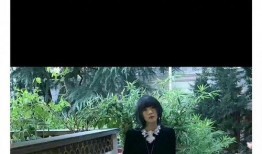 刘大锤最新爆料岳明辉,揭秘娱乐圈背后的惊人真相