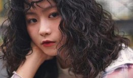 最新羊毛爆料是真的吗,揭秘真实性与可靠性