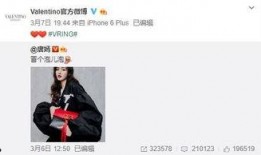 ss11最新载具爆料,神秘性能解析与未来趋势前瞻