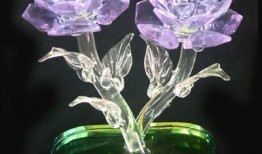 水晶玫瑰最新爆料图片高清,高清爆料图揭秘神秘魅力