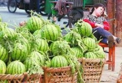 伊犁吃瓜最新事件爆料,揭秘背后惊人真相！