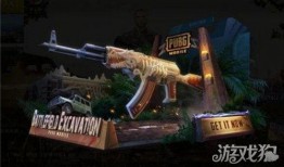 和平精英最新的皮肤爆料,炫酷造型，等你来战！