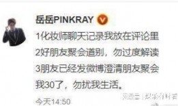 刘大锤最新爆料岳明辉,揭秘娱乐圈背后的惊人真相